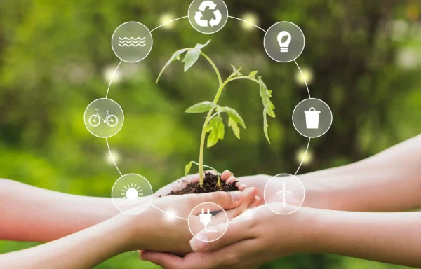 Çevre Danışmanlık Hizmeti