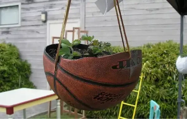 Geri Dönüşümlü Atıkların Değerlendirilmesi