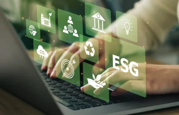 Sürdürülebilirlik Raporlama